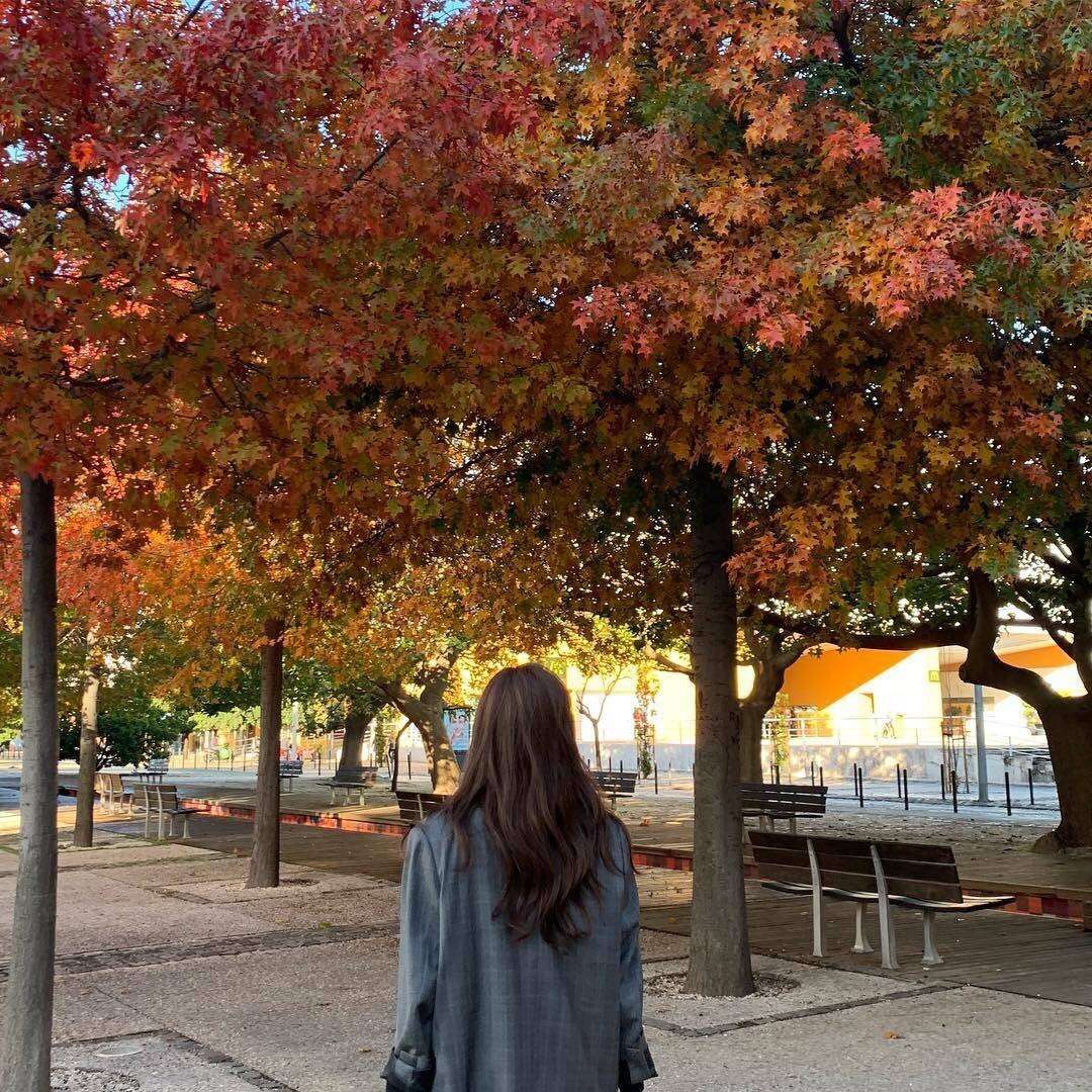 叙