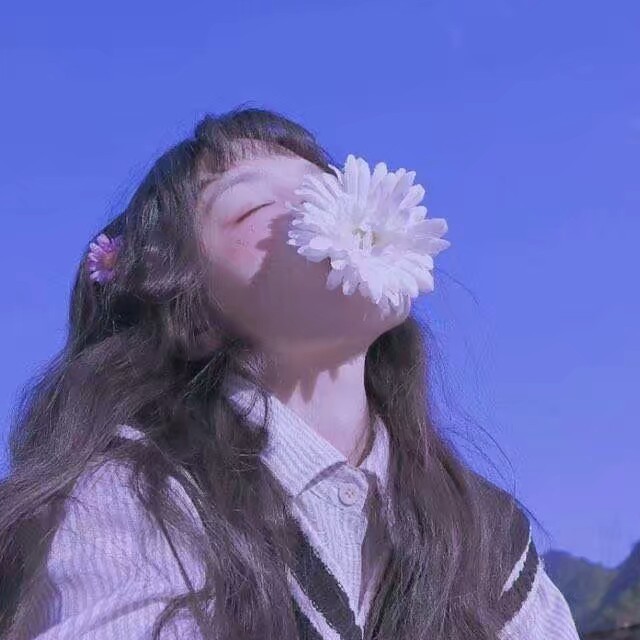 今天阳光正好