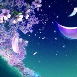 悟人生✨
