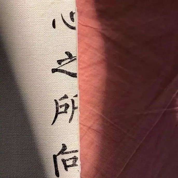 心之所向.