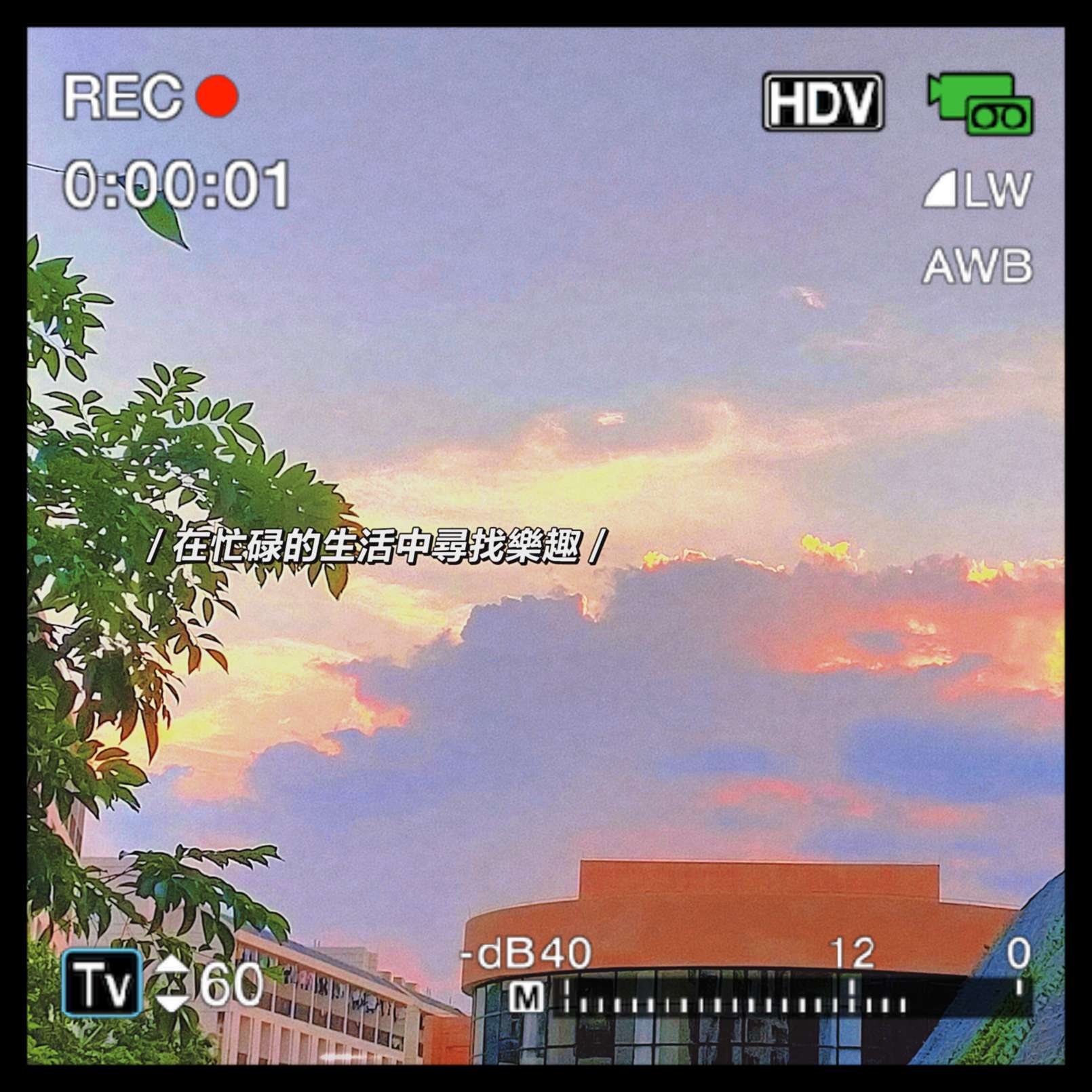 阿条语录