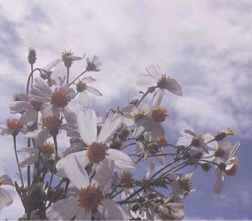 消极？