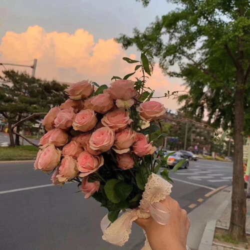 沉浸.的专辑