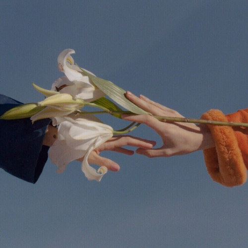 春风松月✨