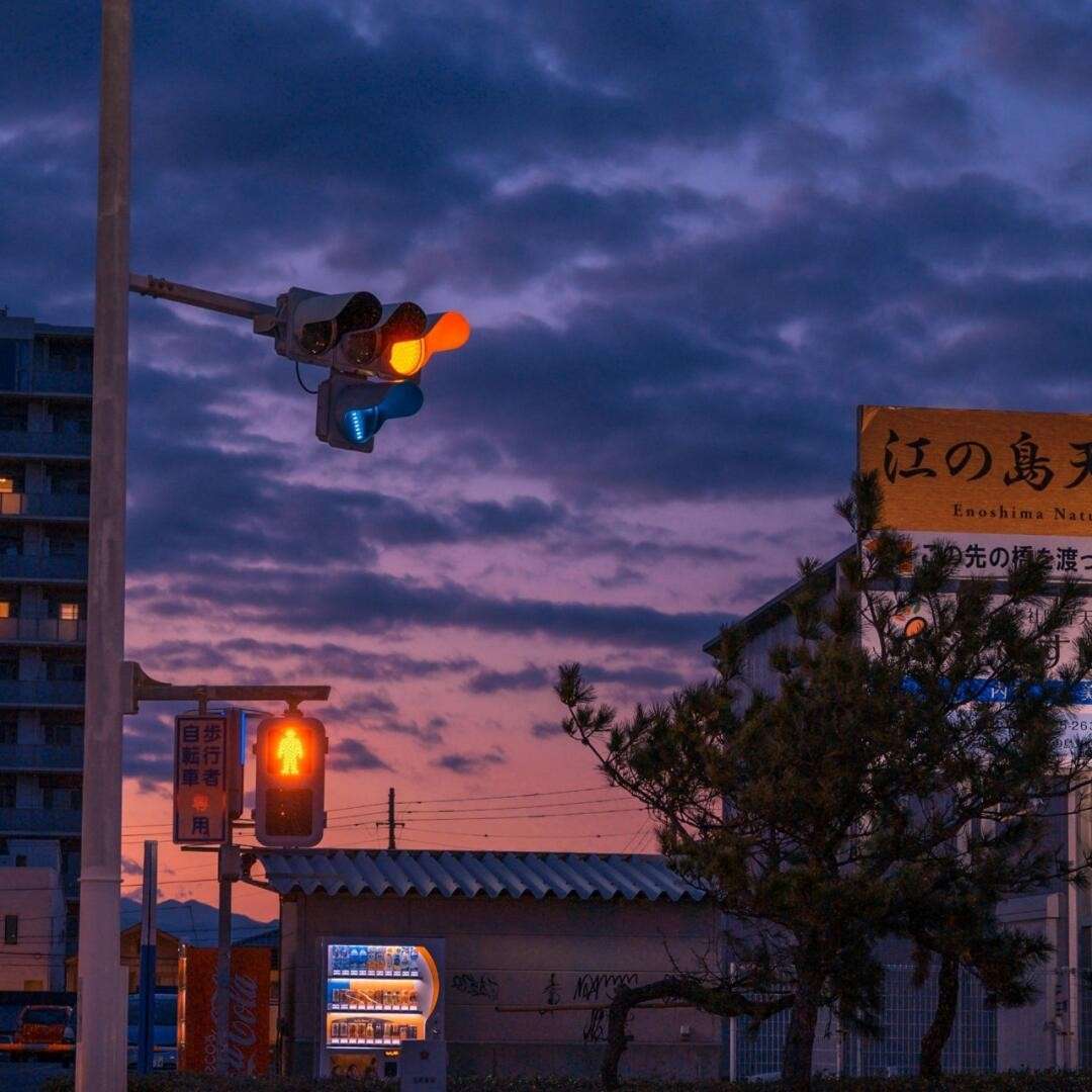 扑向温柔.