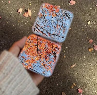 句句不提释怀,句句都是释怀